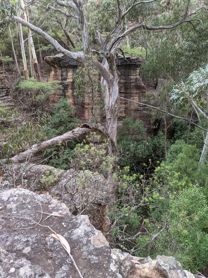 Abseil Recce 05