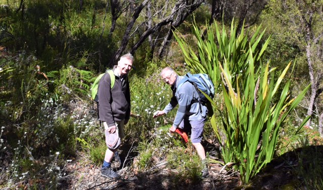 06 Walumarra Trek