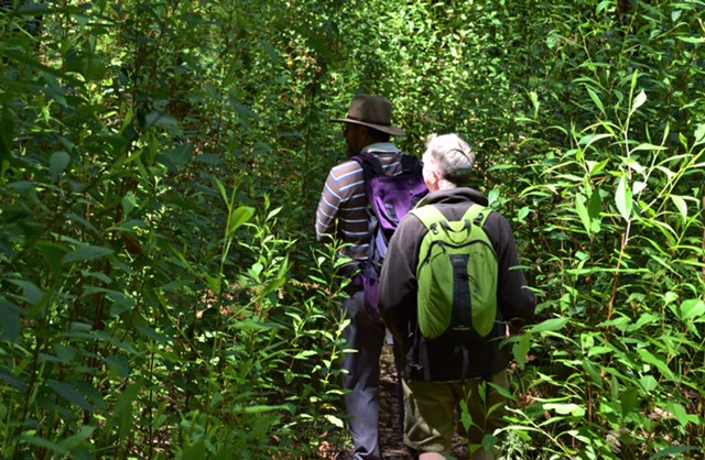 08 Walumarra Trek