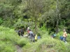 IMG 001