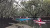 IMG 20170219 100501