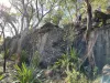 IMG 3861